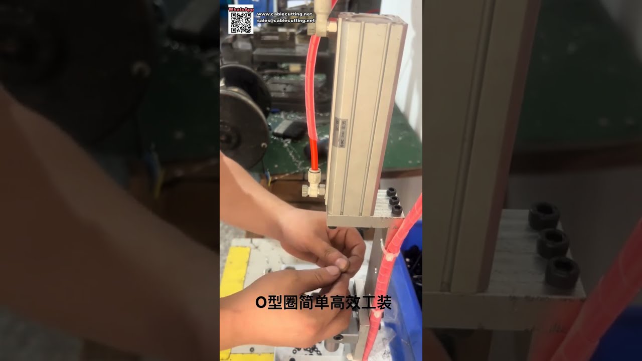 Máquina Automatizada de Ensamblaje de Juntas Tóricas y Equipo de Molde de Precisión para Anillos de Sellado