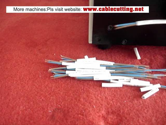 Máquina peladora y cortadora de cables planos de doble capa (WPM-09P)