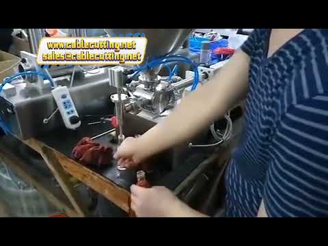 Single double head 10ml 5000 ml detergent yogurt Sauce Filler Viscous Products Filling Machine